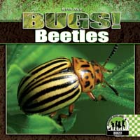 Beetles