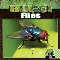 Flies
