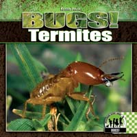 Termites