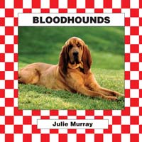 Bloodhounds