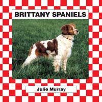 Brittany Spaniels
