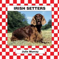 Irish Setters
