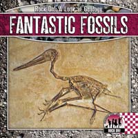 Fantastic Fossils