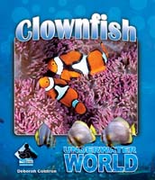 Clownfish