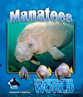 Manatees