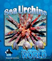 Sea Urchins