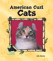American Curl Cats