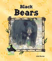 Black Bears