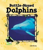 Bottle-nosed Dolphins