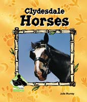 Clydesdale Horses