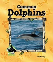 Common Dolphins