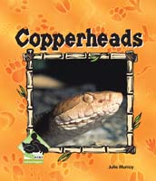 Copperheads