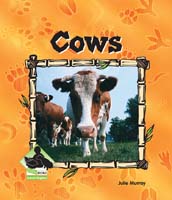 Cows