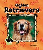 Golden Retrievers