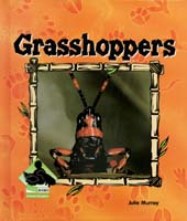 Grasshoppers
