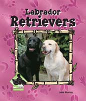 Labrador Retrievers
