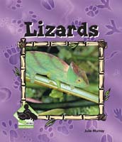 Lizards