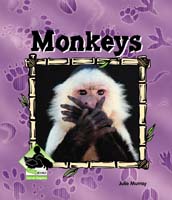 Monkeys