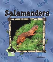 Salamanders
