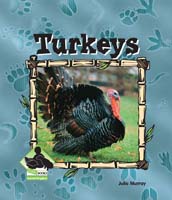 Turkeys