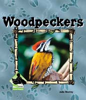 Woodpeckers
