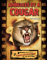 Ambushed by a Cougar