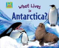 What Lives in Antarctica?