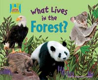 What Lives in the Forest?