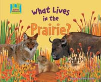 What Lives in the Prairie?