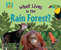 What Lives in the Rain Forest?