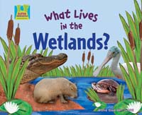 What Lives in the Wetlands?
