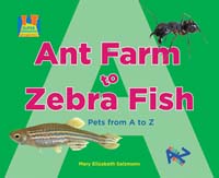 Ant Farm to Zebra Fish