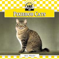Pixiebob Cats