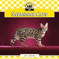 Savannah Cats