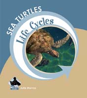 Sea Turtles