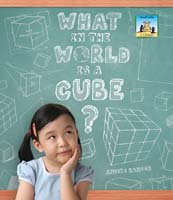 What in the World is a Cube?