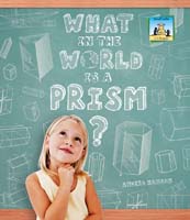 What in the World is a Prism?