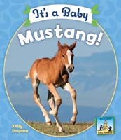 It's a Baby Mustang