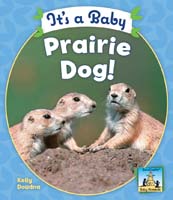 It's a Baby Prairie Dog