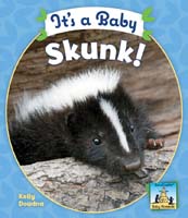 It's a Baby Skunk