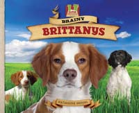 Brainy Brittanys