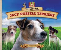 Jumping Jack Russell Terriers