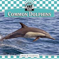 Common Dolphins