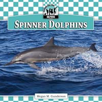 Spinner Dolphins