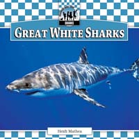Great White Sharks