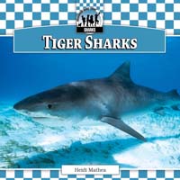 Tiger Sharks