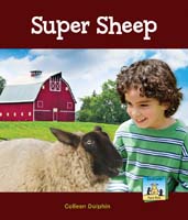 Super Sheep