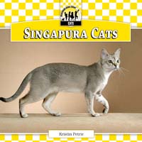 Singapura Cats