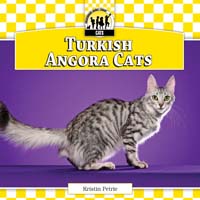 Turkish Angora Cats