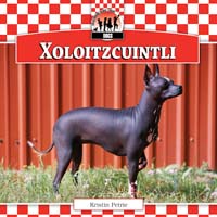Xoloitzcuintli